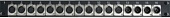 RXX100